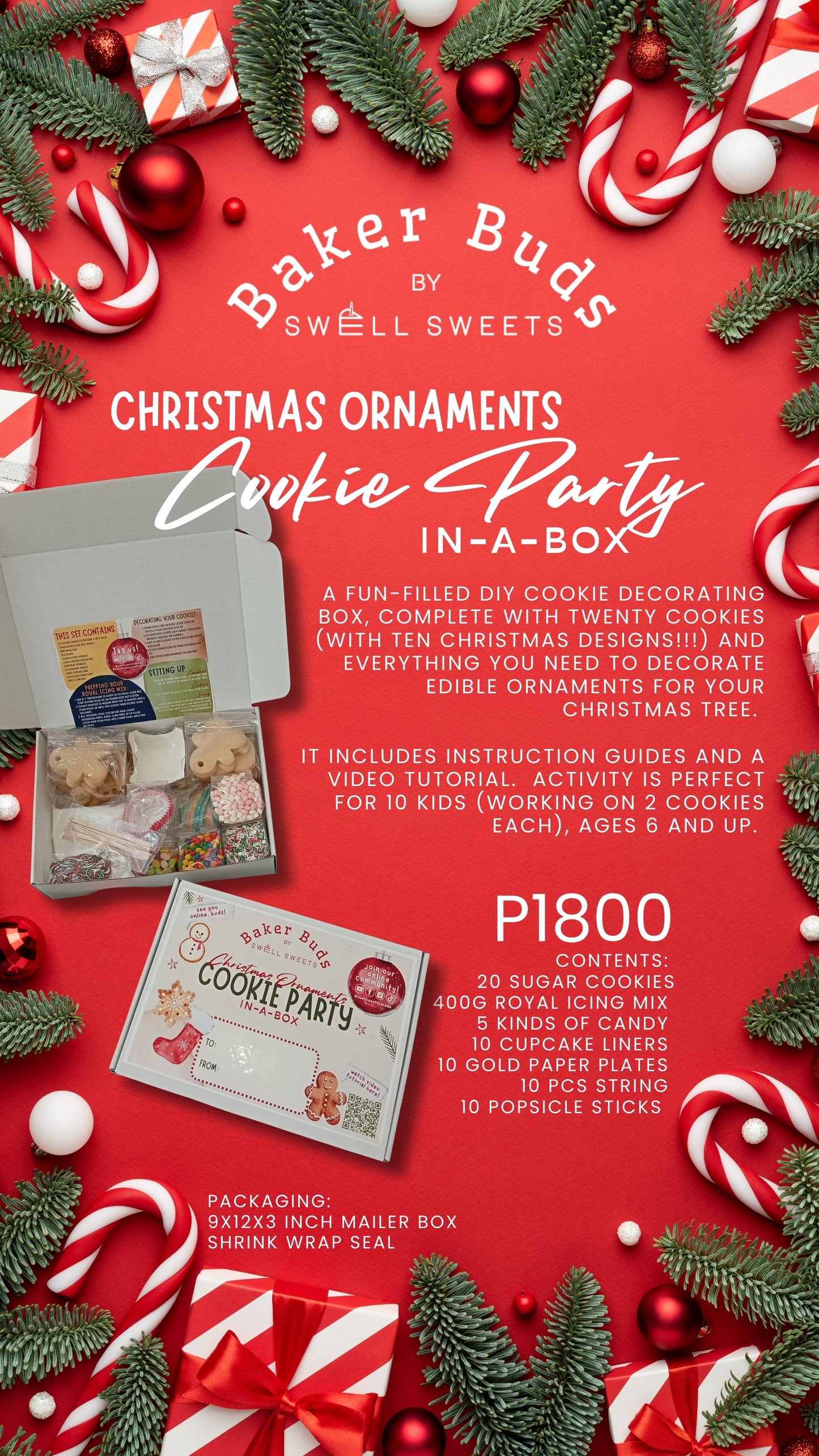 Party-In-A-Box Kits