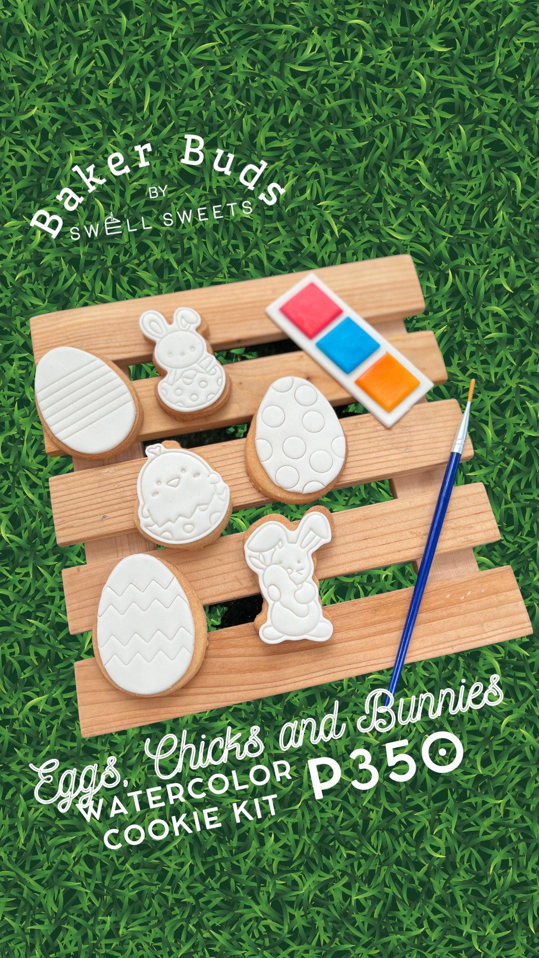 Watercolor Cookie Kit